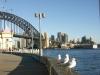 Suburb : Milsons Point