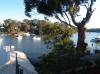 Suburb : Hurstville Grove