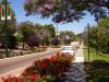 Suburb : Kalamunda